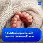 �� ������ ���������-������ ��������� �� ���� ������