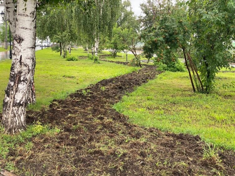В Тюмени к 440-летию города создадут 15 авторских садов В Тюмени к 440-летию города создадут 15 авторских садов