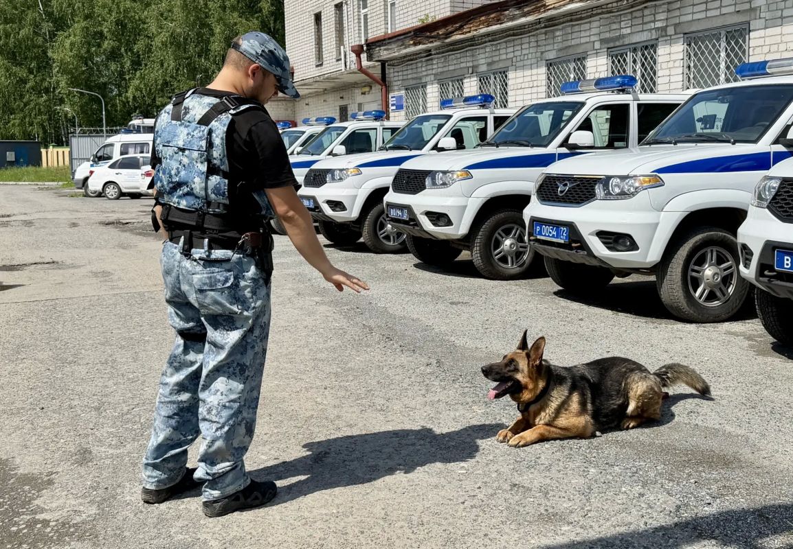 Служебные собаки являются неотъемлемыми помощниками сотрудников полиции Служебные собаки являются неотъемлемыми помощниками сотрудников полиции