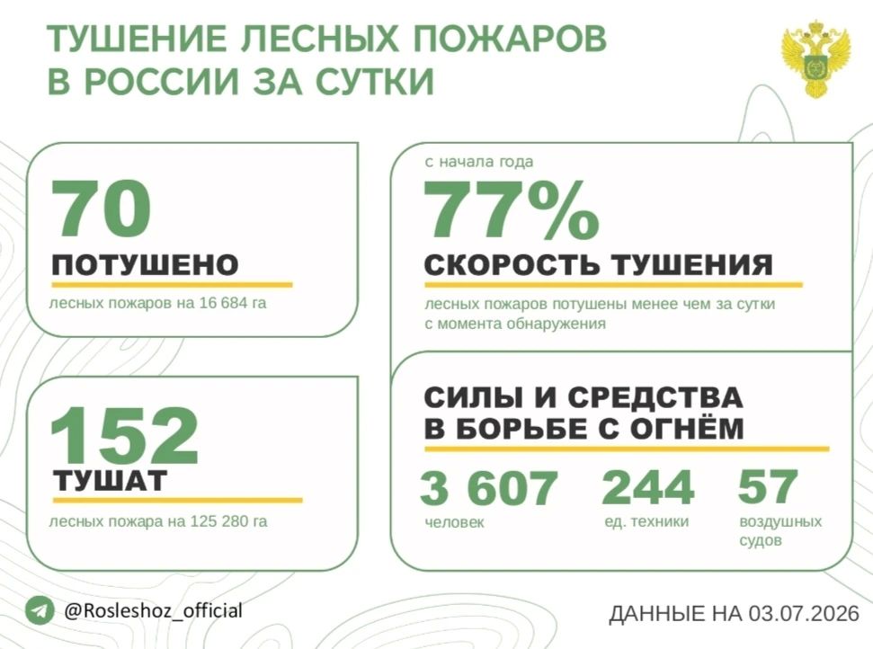 За прошедшие сутки в 20 регионах России потушили 70 лесных пожаров
