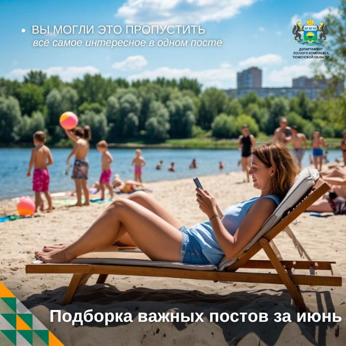 Рубрика: Вы могли это пропустить