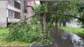 Град размером с грецкий орех