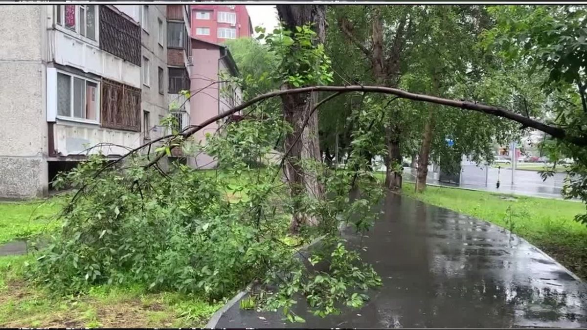 Град размером с грецкий орех