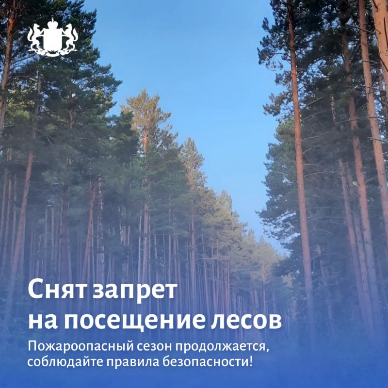 С 29 июня в Тюменской области снят запрет на посещение лесов