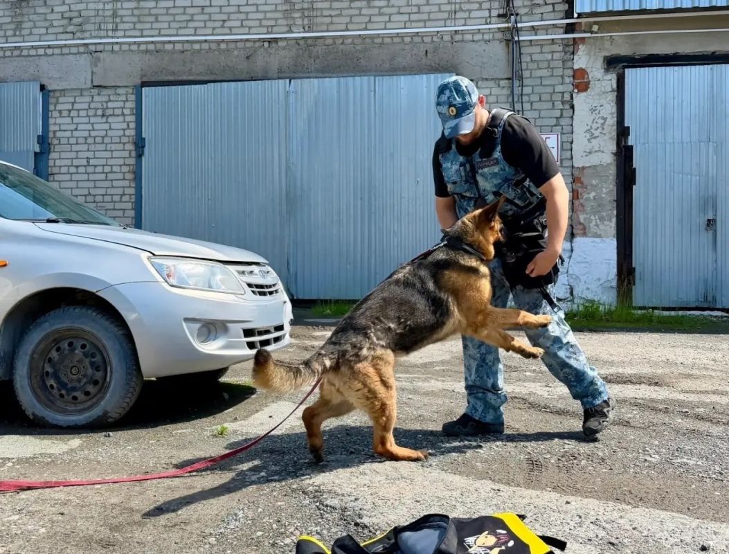 Хвостатые помощники тюменских правоохранителей Хвостатые помощники тюменских правоохранителей