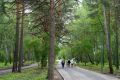 Знаете, что объединяет «Комарово парк» и тысячи тюменцев?