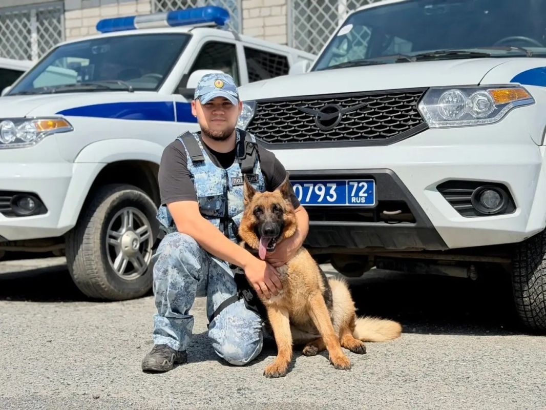 Хвостатые помощники тюменских правоохранителей