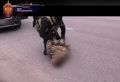 В Тюменской области ликвидировали канал поставки наркотиков, шедших из Европы