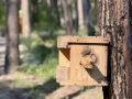 «Комарово парк» в Тюмени почти готов — выполнено более 95 % работ