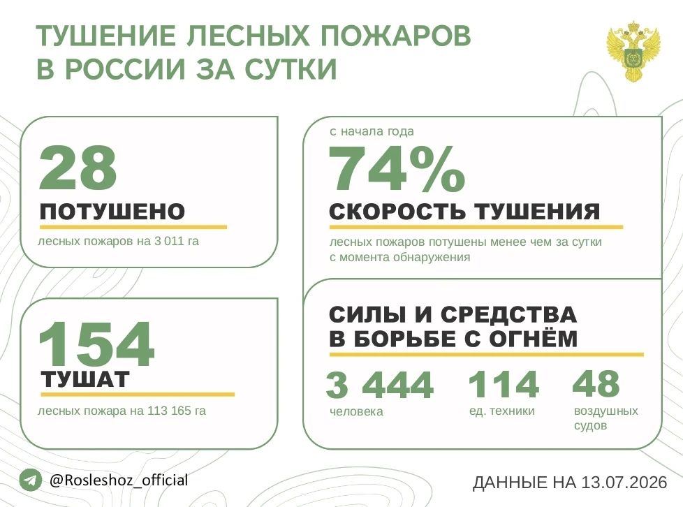 За прошедшие сутки в 9 регионах России потушили 28 лесных пожаров