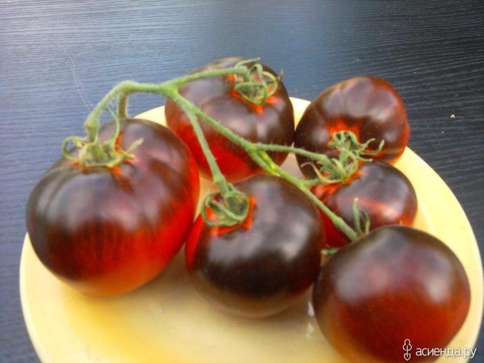 Томат красный уголь: экзотика, которая удивляет вкусом и внешним видом