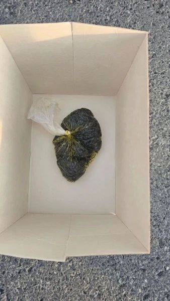 В Голышмановском муниципальном округе сотрудники отдела по контролю за оборотом наркотиков при проверке оперативной информации совместно с оперативниками уголовного розыска и автоинспекторами остановили на автодороге...
