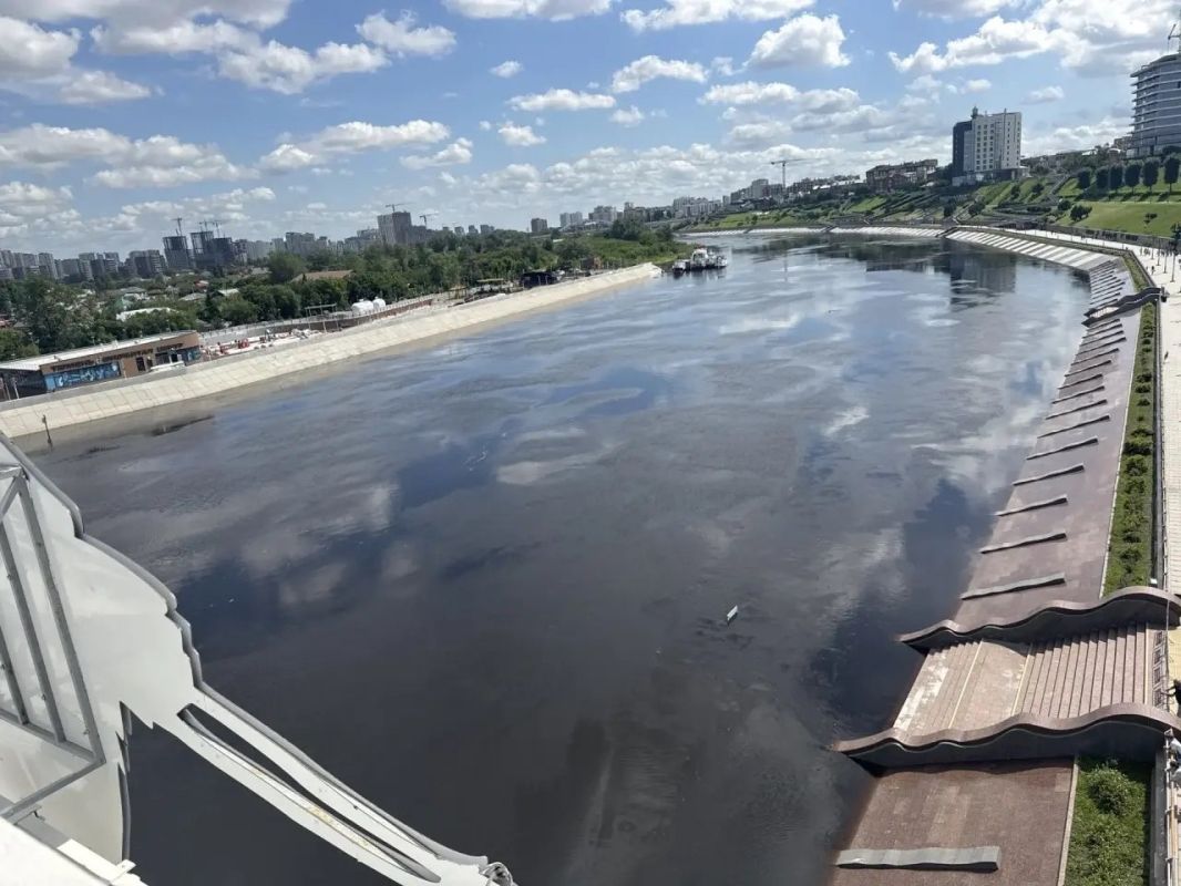 Тюменцы боятся, что День города будет испорчен дохлой рыбой на Набережной