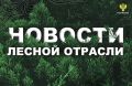 AK&M: Площадь лесных пожаров сократилась более чем в два раза