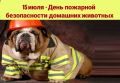 Животные не раз доказывали свою преданность и способность спасать жизни