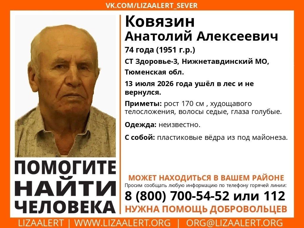 Дедушка отправился за малиной и пропал: волонтеры прочесывают лес в поисках пропавшего пенсионера Дедушка отправился за малиной и пропал: волонтеры прочесывают лес в поисках пропавшего пенсионера