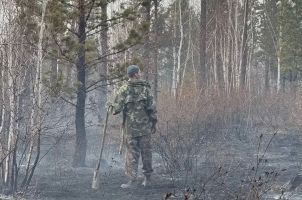 Тюменские пожарные помогают тушить заповедник «Верхне-Тазовский»