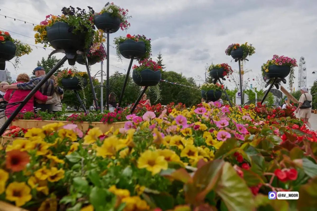 Александр Моор: Благоустроим три дополнительных пространства по нацпроекту «Инфраструктура для жизни» Александр Моор: Благоустроим три дополнительных пространства по нацпроекту «Инфраструктура для жизни»