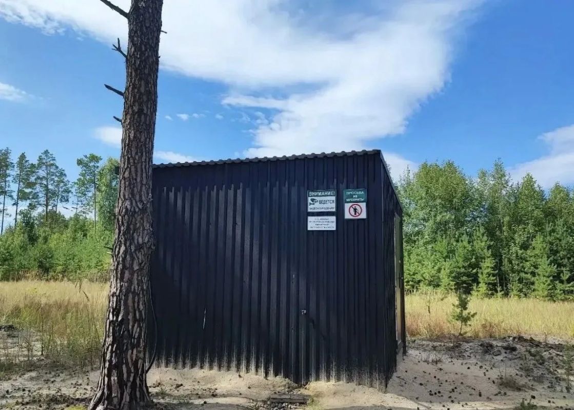 Природоохранная прокуратура через суд обязала лесопользователя устранить нарушения природоохранного законодательства Природоохранная прокуратура через суд обязала лесопользователя устранить нарушения природоохранного законодательства