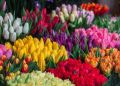 ������� ���: ����� ����� ����� ���������� � �������?
