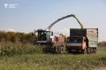 Дизеля в России стало достаточно: топливо направят на уборочную