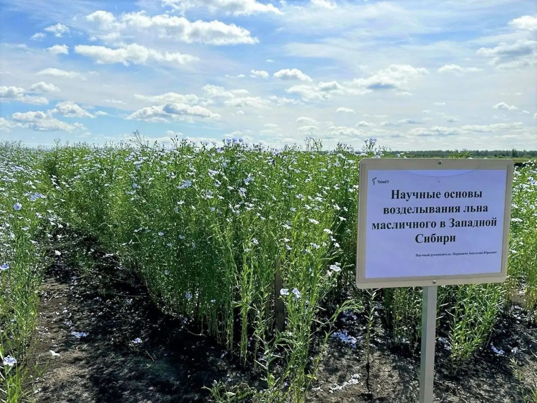 В Аграрном институте ТюмГУ подвели промежуточные итоги полевых исследований В Аграрном институте ТюмГУ подвели промежуточные итоги полевых исследований