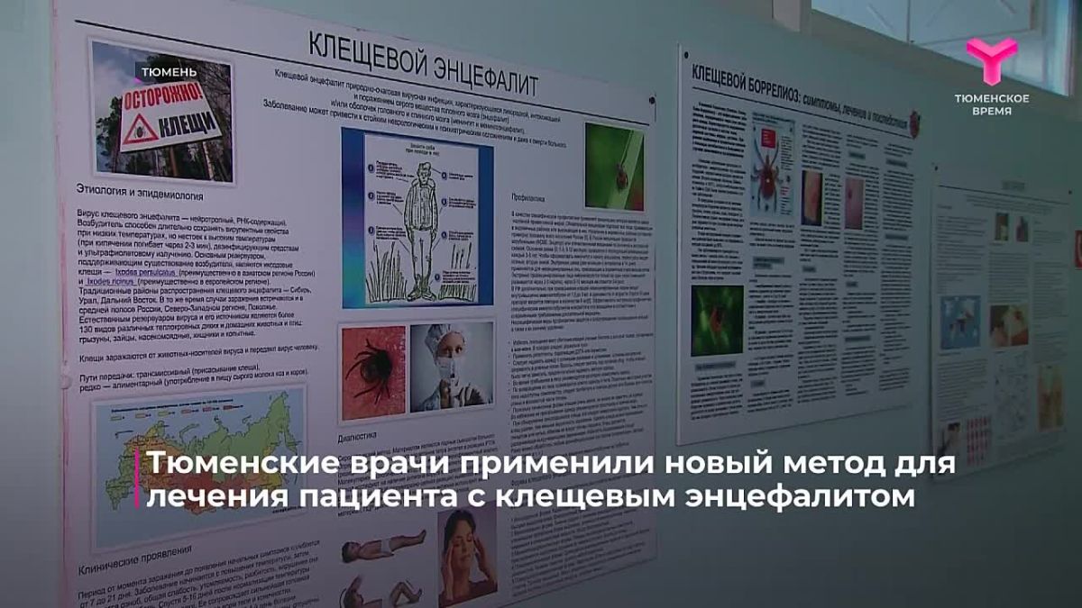 Вы знали, что клещ бывает инфицирован одновременно и энцефалитом, и боррелиозом?