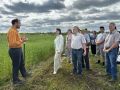 В Аграрном институте ТюмГУ подвели промежуточные итоги полевых исследований