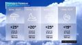 18 июля Тюменская область остаётся в орбите циркуляции циклона, который стационирует на юге Сибири