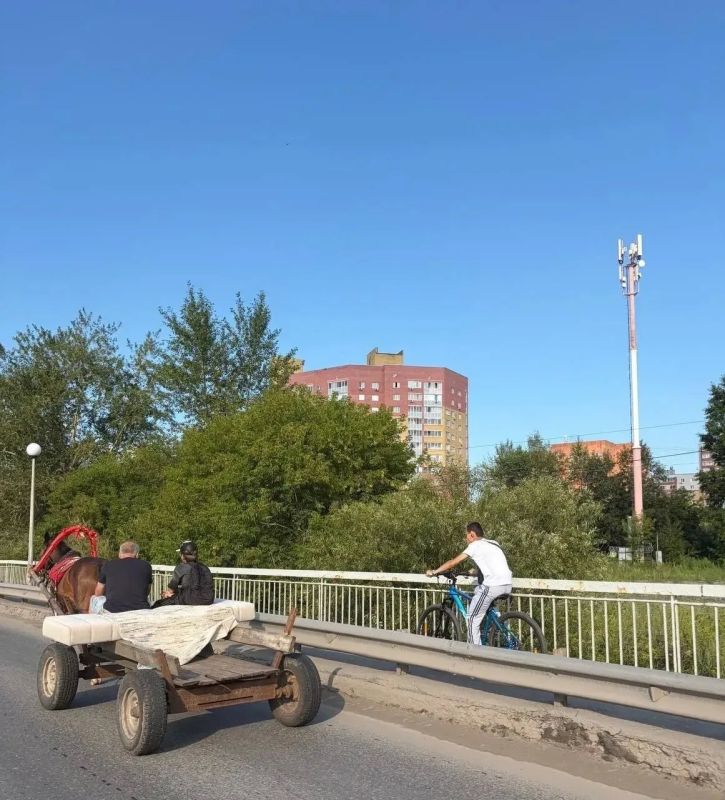 По коням! Бензин в дефиците - тюменцы меняют средство передвижения