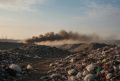 Под Тюменью нашли опасные нарушения при утилизации биоотходов