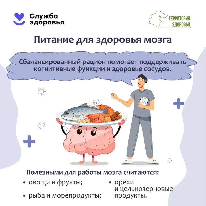 Неделя сохранения здоровья головного мозга: что нужно знать каждому Неделя сохранения здоровья головного мозга: что нужно знать каждому