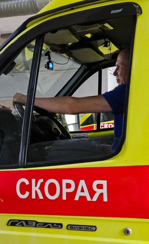 Осиный рой атаковал дачника: мужчину спасли за 15 минут