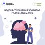 Неделя сохранения здоровья головного мозга: что нужно знать каждому