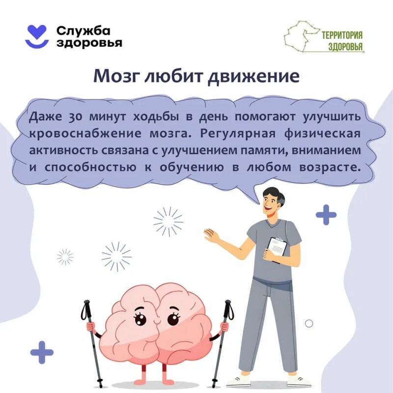 Неделя сохранения здоровья головного мозга: что нужно знать каждому Неделя сохранения здоровья головного мозга: что нужно знать каждому