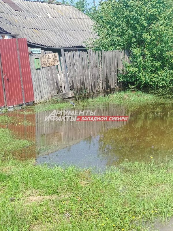 Вода наступает: жители улиц Цимлянской и Пышминской бьют тревогу изза подтопления Вода наступает: жители улиц Цимлянской и Пышминской бьют тревогу изза подтопления