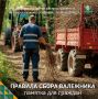 Заготовка валежника: отвечаем на самые частые вопросы