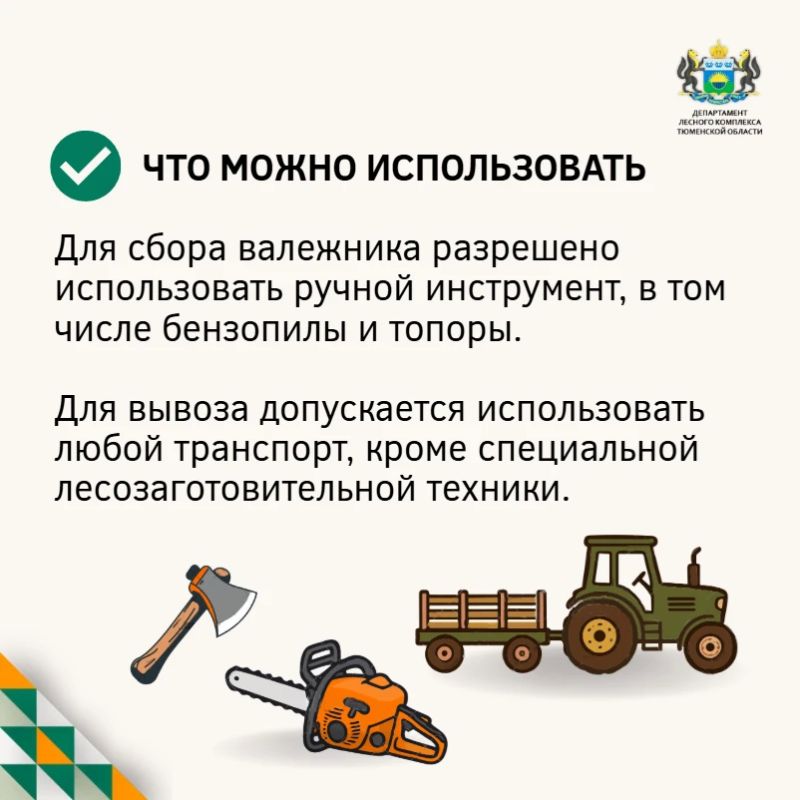 Заготовка валежника: отвечаем на самые частые вопросы Заготовка валежника: отвечаем на самые частые вопросы