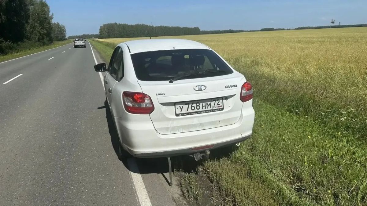 Выпил пива и поехал в соседнюю деревню кормить кур Выпил пива и поехал в соседнюю деревню кормить кур