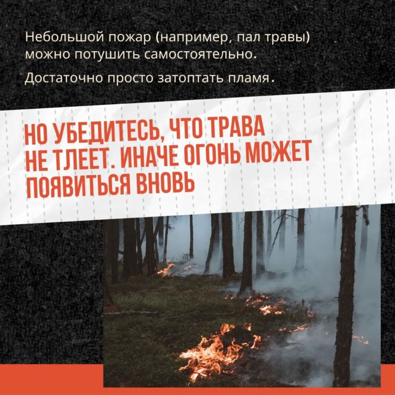 Трава — не дрова!. Сжигание сухой растительности — это риск, который ничем не оправдан Трава — не дрова!. Сжигание сухой растительности — это риск, который ничем не оправдан