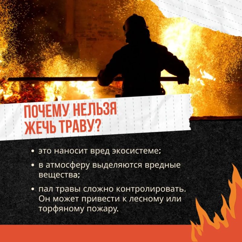 Трава — не дрова!. Сжигание сухой растительности — это риск, который ничем не оправдан