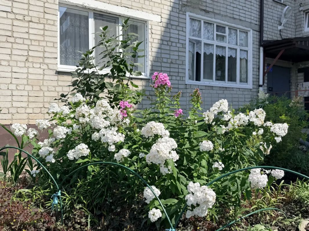 В Тобольске за два года благоустроили более 30 дворов В Тобольске за два года благоустроили более 30 дворов