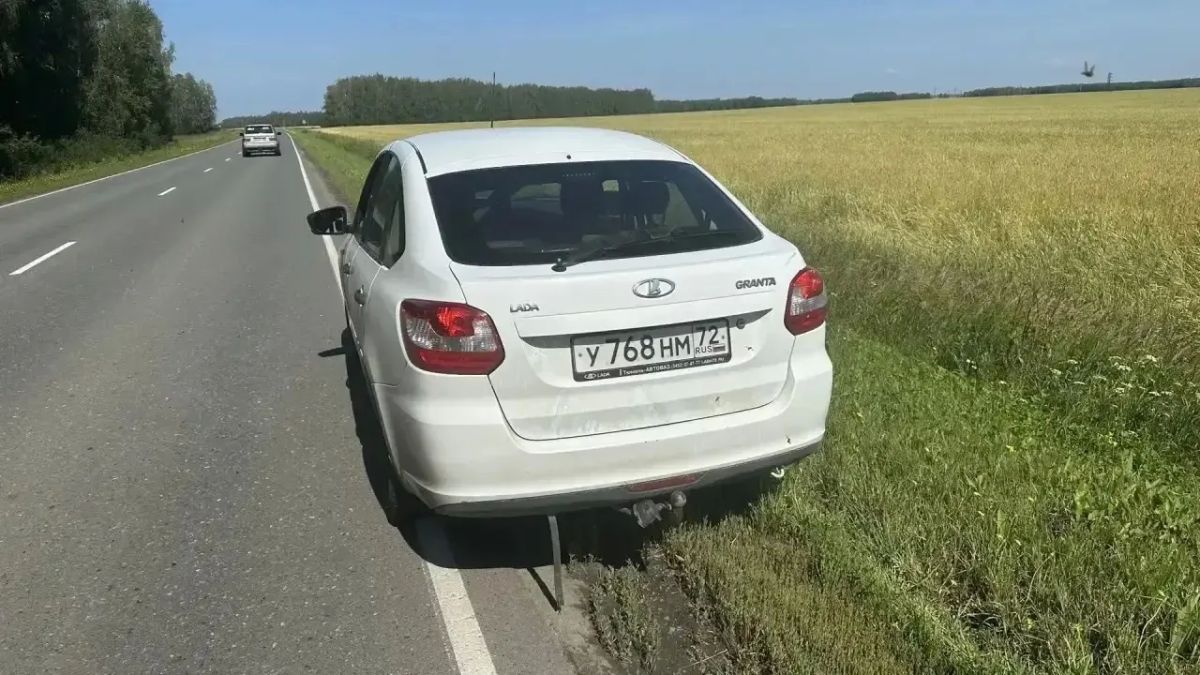 Пьяный тюменец поехал кормить кур в соседнюю деревню, но теперь ему придется перевезти пернатых поближе, ведь без прав будет трудно