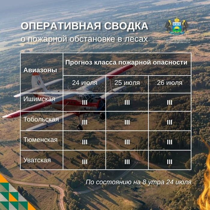 По данным региональной диспетчерской службы, на утро 24 июля в Тюменской области нет действующих лесных пожаров