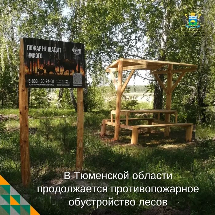 Лес должен быть безопасным