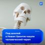 Человеческий череп нашли под школой в ЯНАО