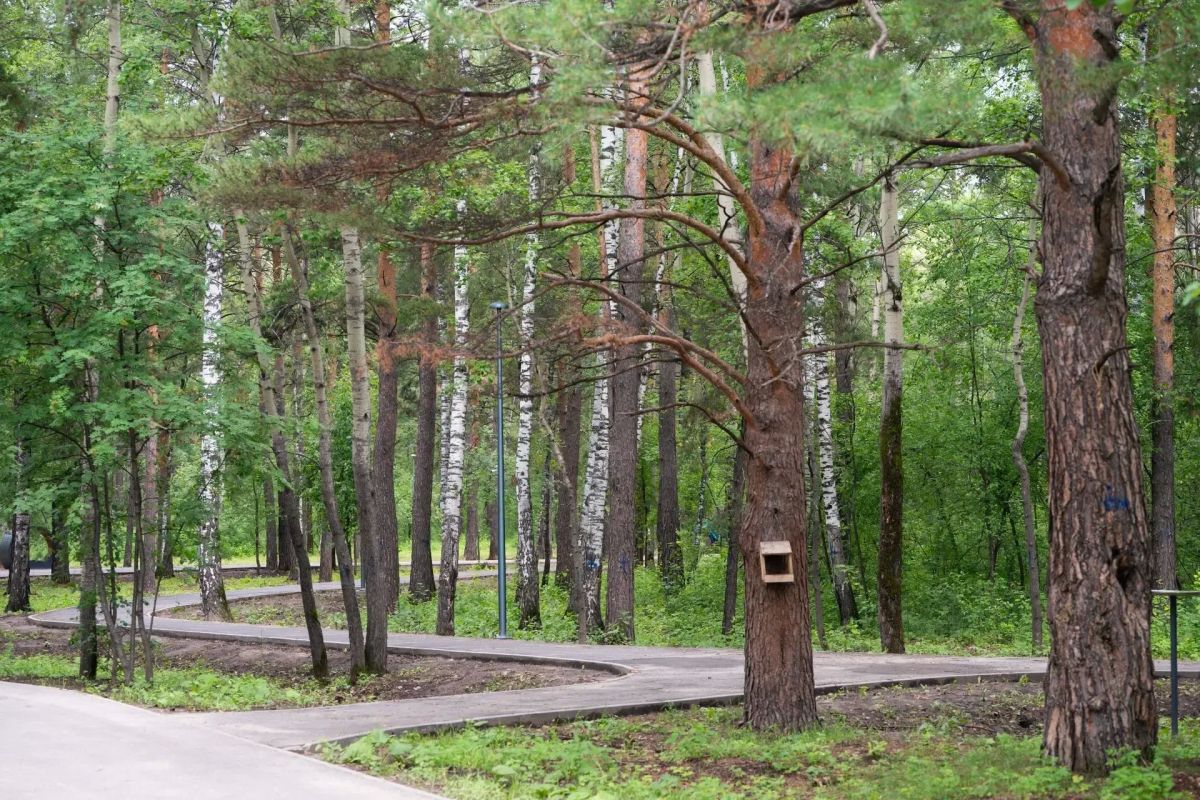 Уже в это воскресенье 26 июля в «Комарово Парке» пройдёт официальное открытие!
