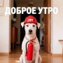 Доброе утро, пятницы!. Пусть рабочая неделя завершится удачно и без лишней спешки
