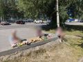 «Наведём порчу, если пройдёте мимо»: в Тобольске дети пугают прохожих у Метрополиса