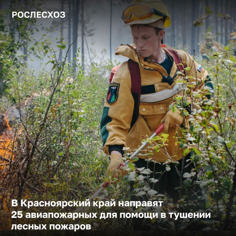 На 11:00 в Красноярском крае велись работы по тушению 80 лесных пожаров на площади 105,2 тыс